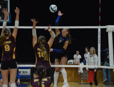 Mavericks win final regular season home match